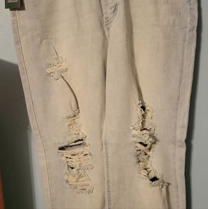 NWT wild fable jeans
